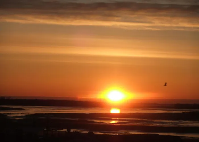 公寓 Appartementhaus Boddenblick 